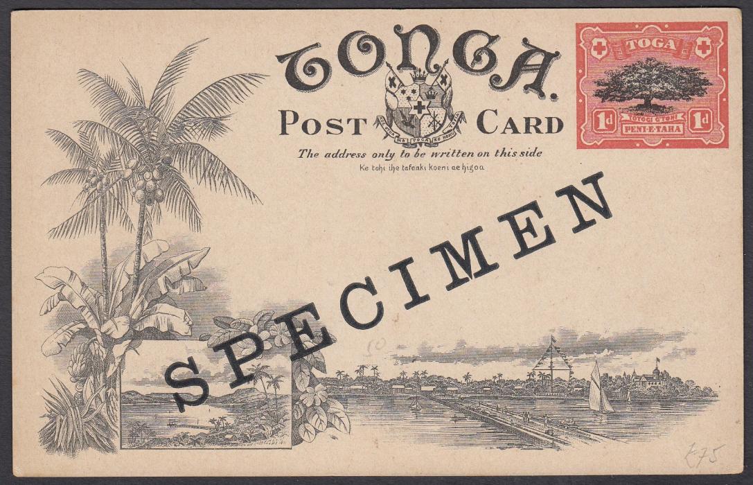 TONGA: (Picture Postal Stationery) 1906 1d. picture card A Native Village with diagonal SPECIMEN handstamp; good condition.