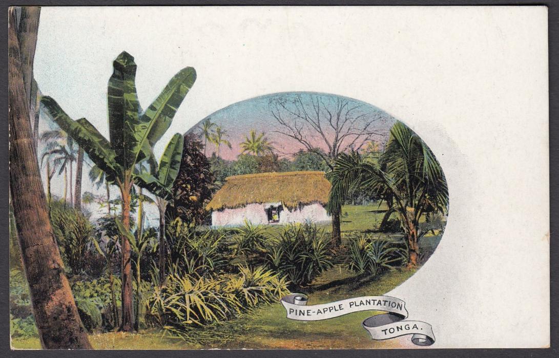 TONGA: (Picture Postal Stationery) 1906 1d. colour picture card Pine-Apple Plantation; unused.