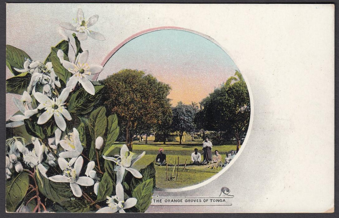 TONGA: (Picture Postal Stationery) 1906 1d. colour picture card The Orange Groves of Tonga; unused.