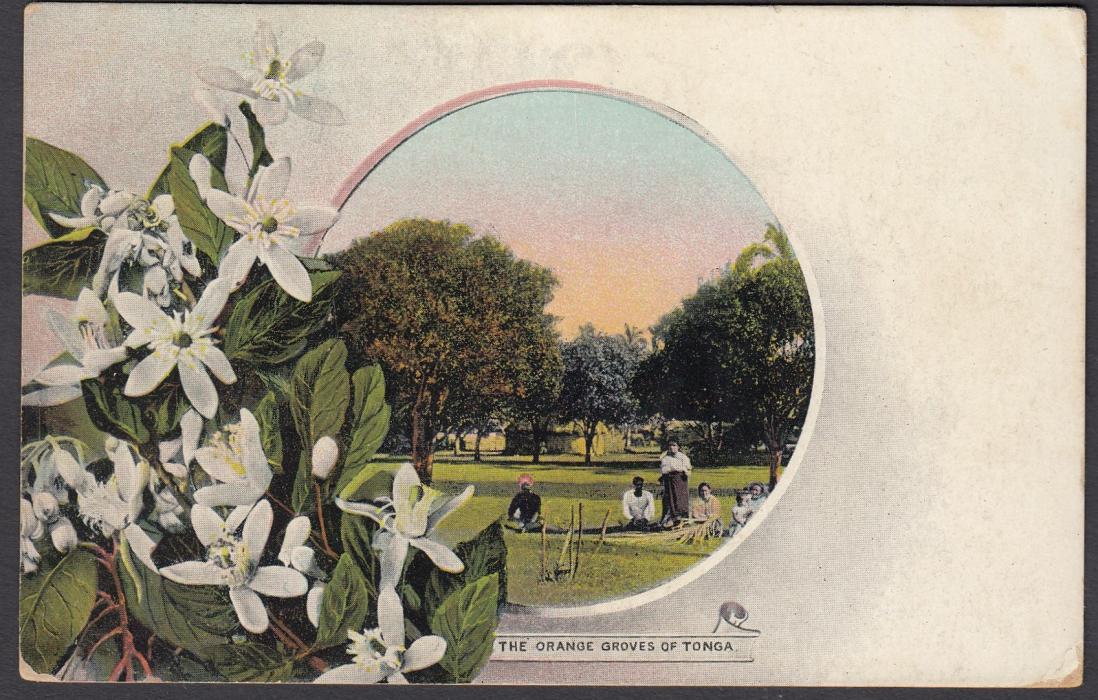 TONGA: (Picture Postal Stationery) 1906 1d. colour picture card The Orange Groves of Tonga, used to Sydney.