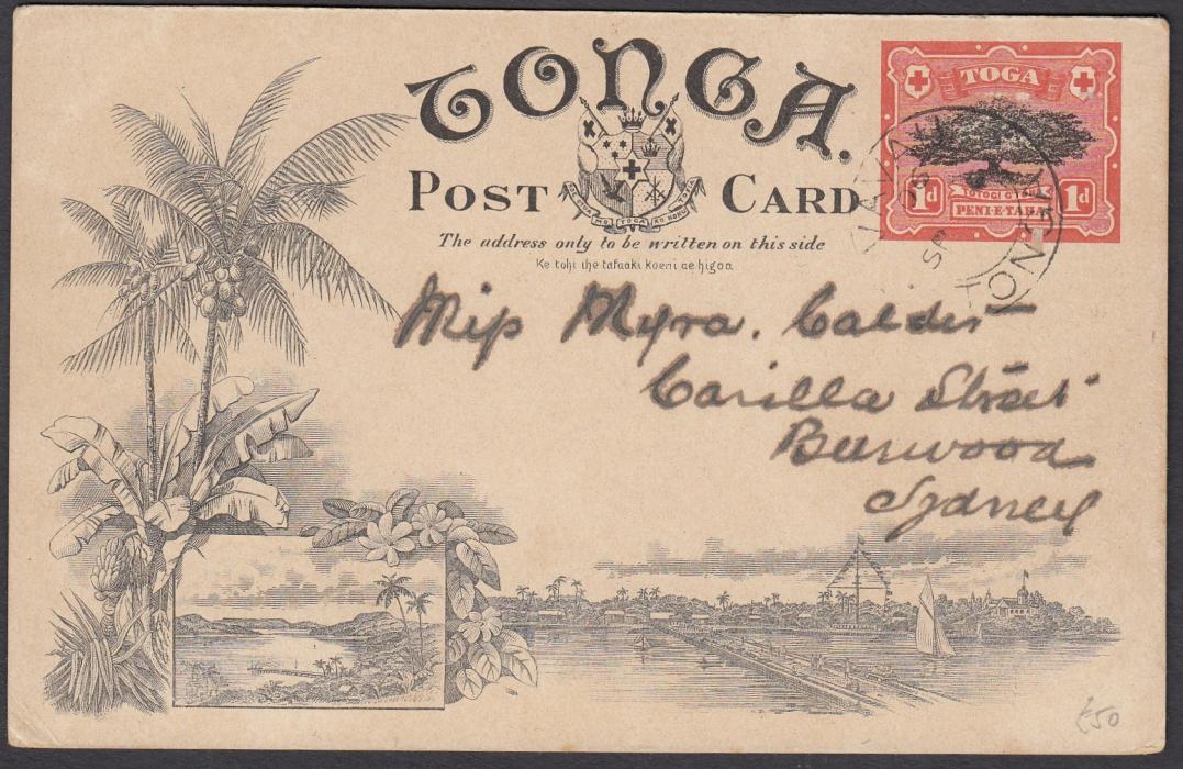 TONGA: (Picture Postal Stationery) 1906 1d. colour picture card The Orange Groves of Tonga, used to Sydney.