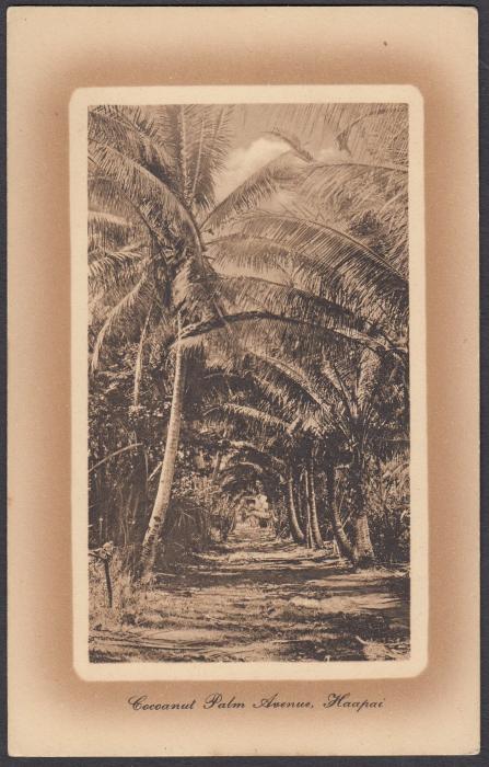 TONGA: (Picture Postal Stationery) 1911 1d brown hue card entitled Cocoanut Palm Avenue, Haapai; unused.