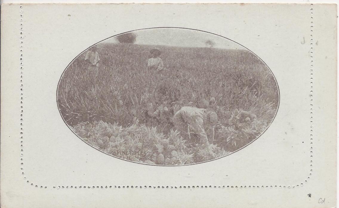 Australia (Picture Stationery) 1910s 1d. grey-brown ‘fullface’, Setting II, text A,  letter card, ‘Pineaplles’, fine unused.
