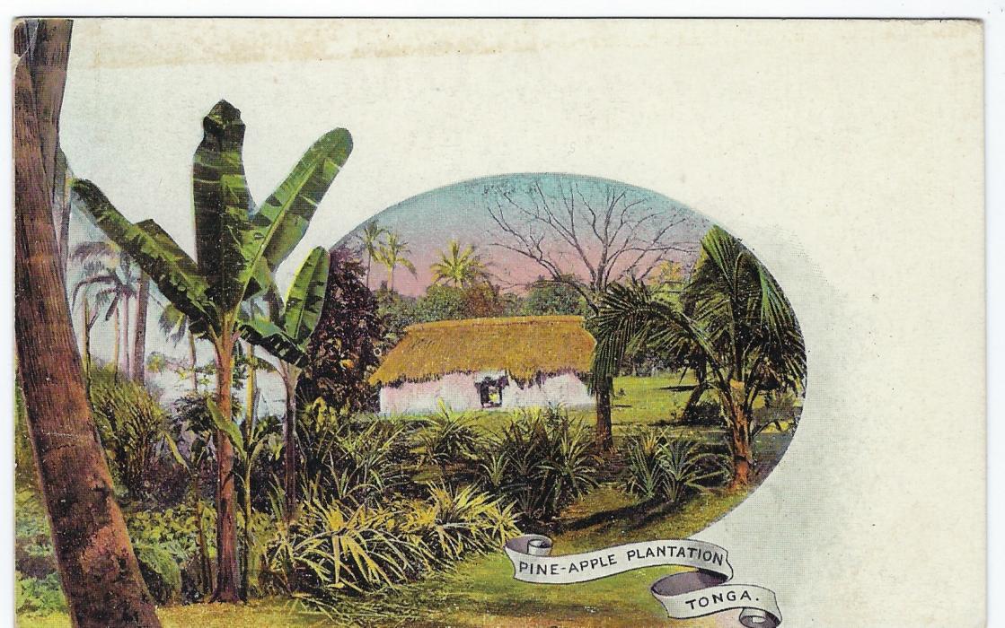 Tonga Picture Stationery: 1906 1d. card Pine-apple Plantation with diagonal SPECIMEN handstamp; good condition