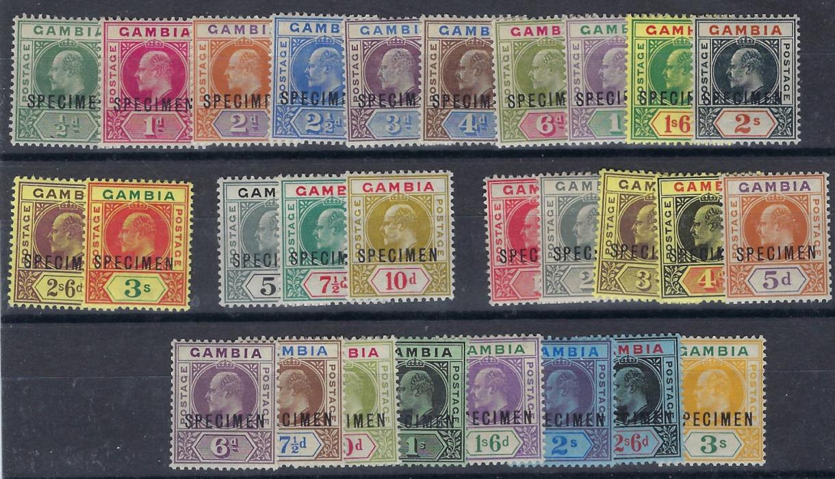 Gambia Specimens accumulation with 1902-05 Wmk Crown CA set of 12, Wmk Mult Crown CA set of three and 1909 set of 13. Fine and fresh hinged mint, a complete collection of King Edward VII specimens.