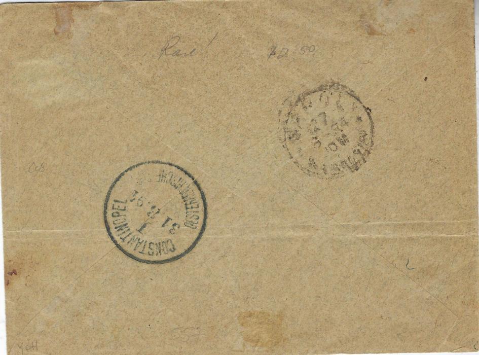 North Borneo (Labuan) 1894 (JY 21) registered cover to “Secretary of the German Consulate General” , Constantinople, Turkey bearing single franking 18c. ‘Mount Kinabalu’ tied Labuan cds, oval framed ‘R’ and blue manuscript number, reverse with Napoli transit and arrival backstamp of Austrian Post Office.