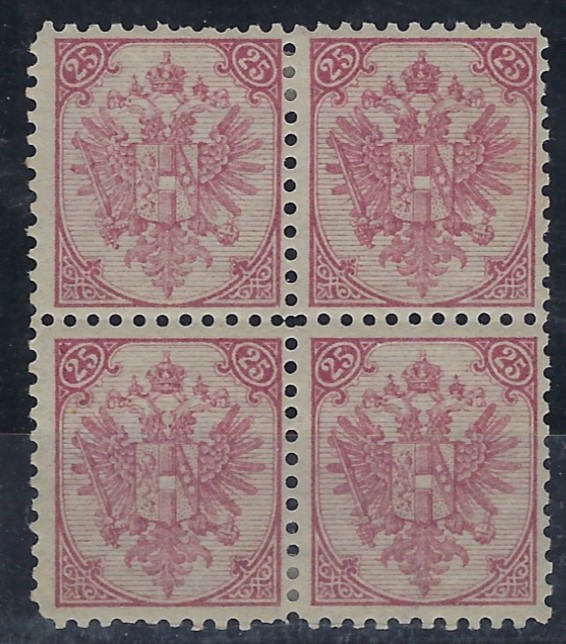 Bosnia Herzegovina 1895-88 Litho 25k. reddish purple in block of four, perf 10½ fresh hinged mint, a rare block.