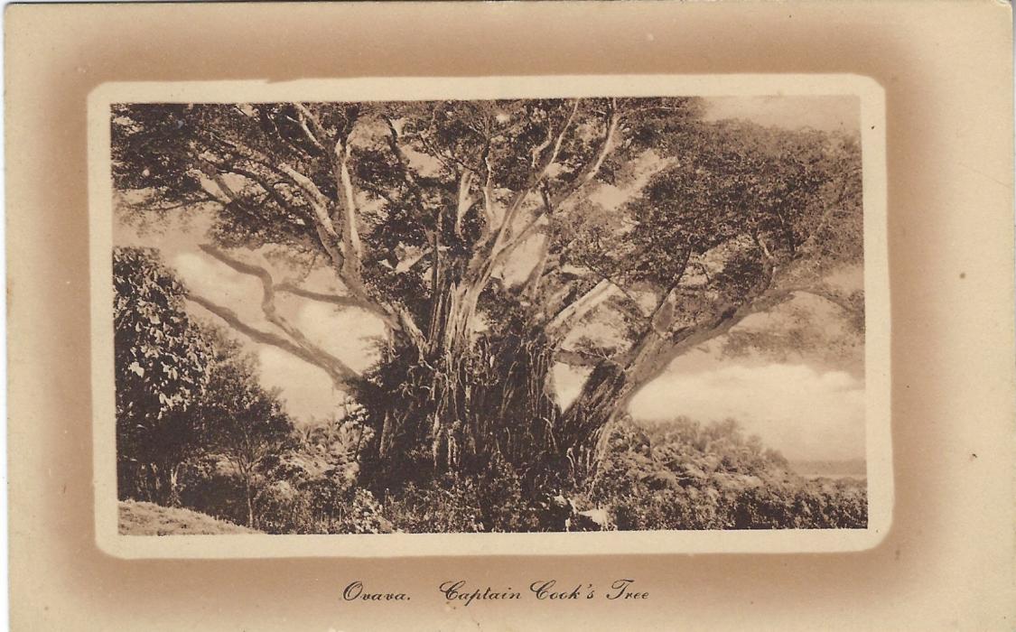 Tonga (Picture Postal Stationery) 1911 1d. card depicting Captain Cooks Tree, Ovava good unused.