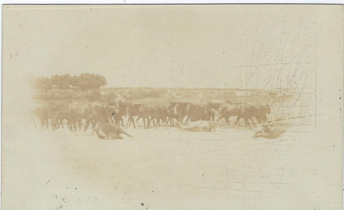 Uruguay (Picture  Stationery) 1890s 2c. blue card with brownish photographic image on front of herd of horses, fresh unused.