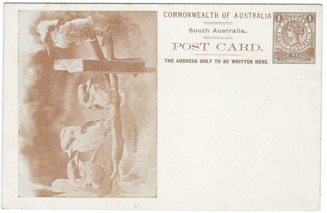 Australia (South – Picture Stationery) 1900s 1d. brown stationery card with illustration of four Kookaburra; some slight toning on reverse and at edges.