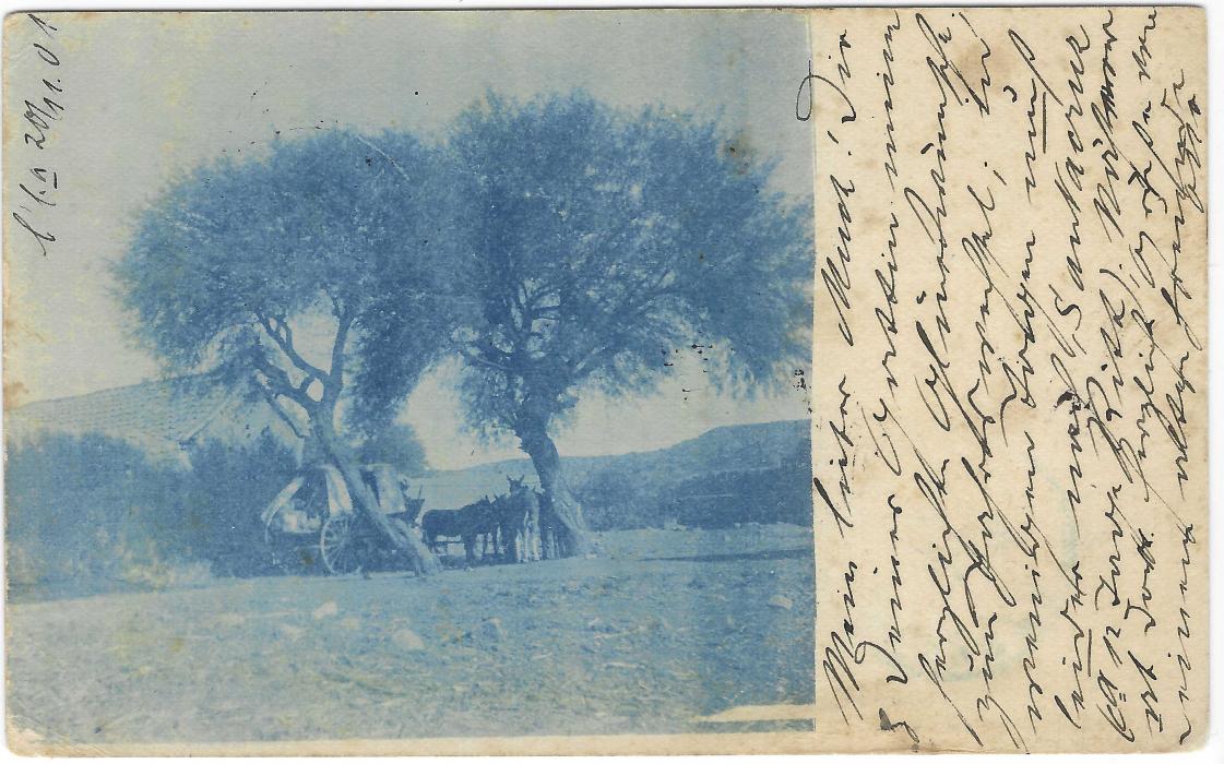 Bolivia (Picture Postal Stationery) 1902 2c. card depicting horses and wagon under tree uprated to Hamburg, Germany with one stamp now missing