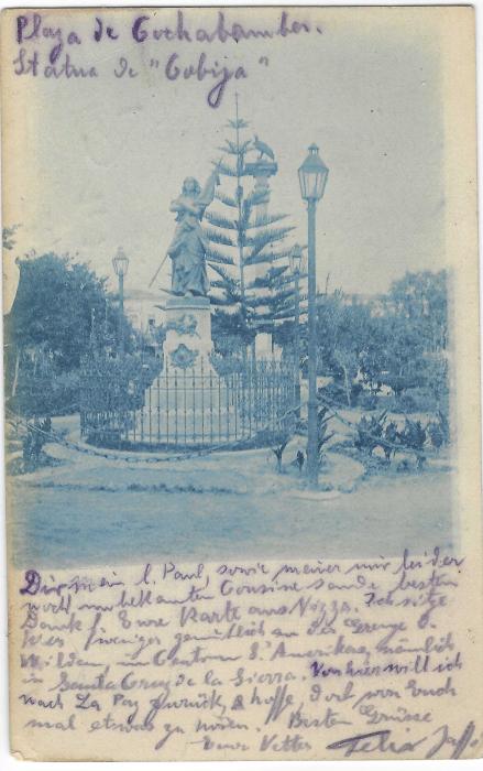 Bolivia 1900s card to Berlin, Germany with uprating stamps carefully removed, with blue image of Statue in public gardens.