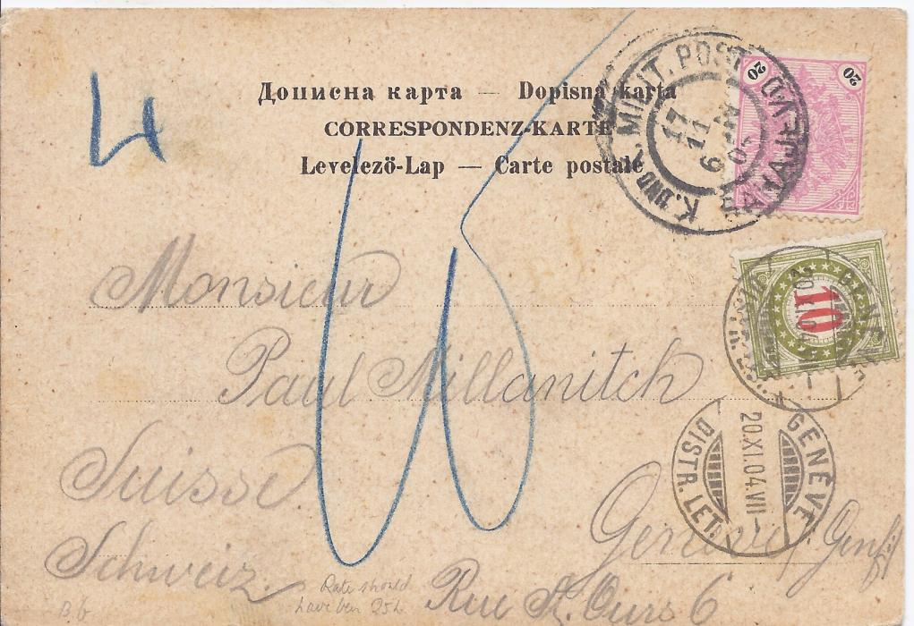 Bosnia Herzegovina 1904 picture postcard (half of double Sarajevo view card) to Geneva franked 20h. pink and black tied Sarajevo cds, underfranked (should have been 25h.) with blue manuscript charges and 10c. Postage Due applied with Geneva cds.