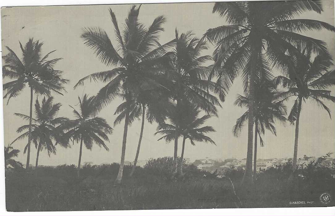 German Colonies (East  Africa) 1908 2½h. Yacht picture stationery card bearing fine photographic image of Palm Trees, cto with Tanga cds, Mansfeld guarantee handstamp.