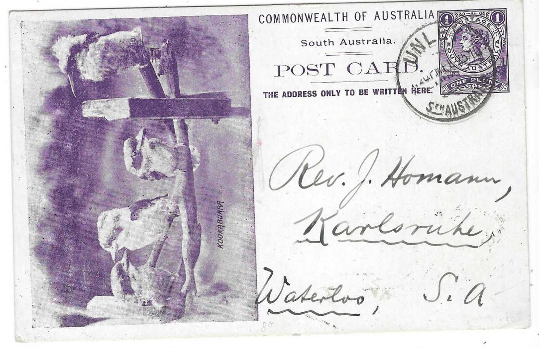 South Australia 1910 1d. purple black picture postal stationery card titled ‘Kookaburra’ with a group of four birds cancelled  by Unley cds, fine and scarce.