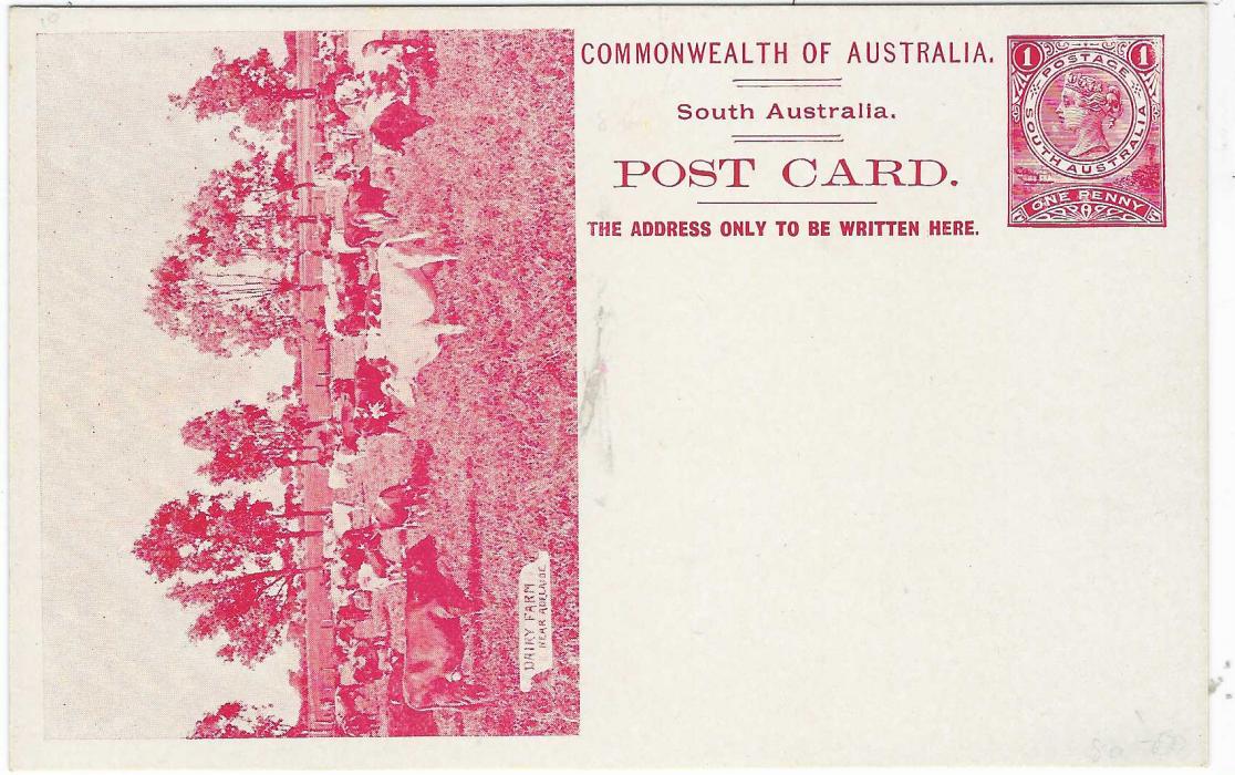 Australia (South – Picture Stationery) 1900s 1d. red stationery card with illustration of Cattle entitled ‘Dairy Farm/ Near Adelaide’  fine unused.
