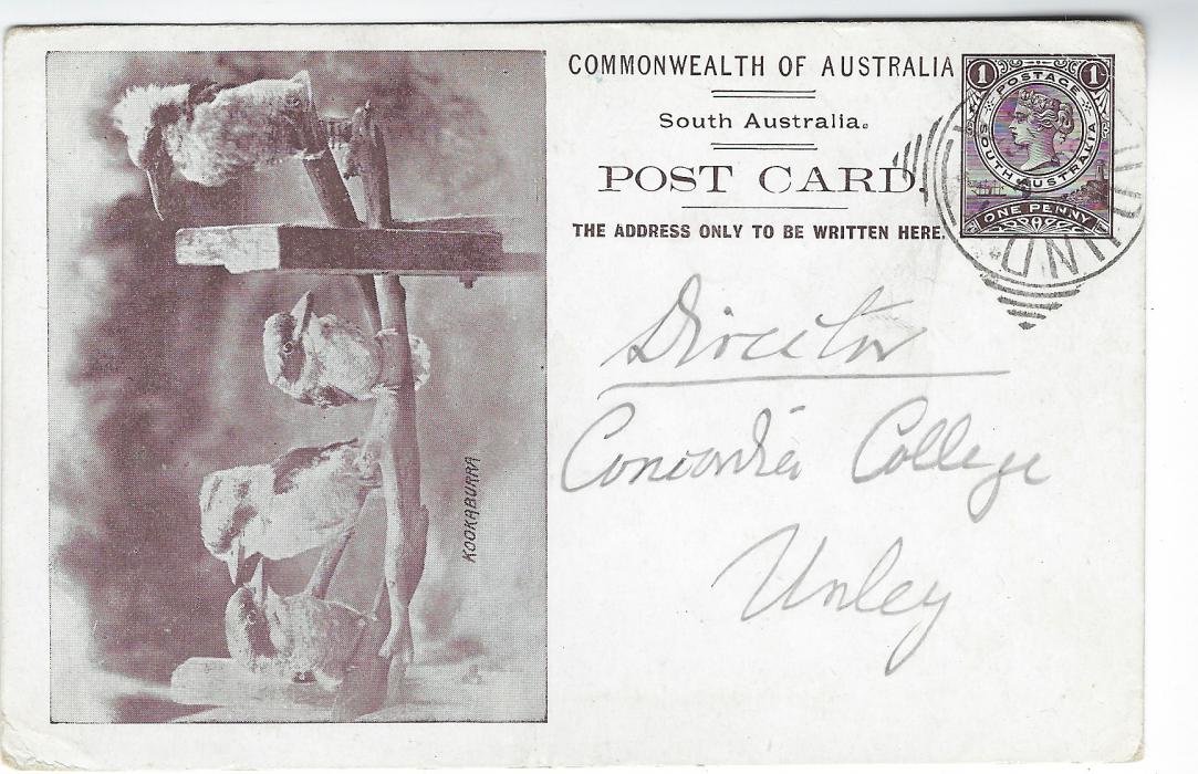 Australia (South – Picture Stationery) 1912 1d. dark brown  card with illustration of four Kookaburra used with Eudunda square-circle date stamp.