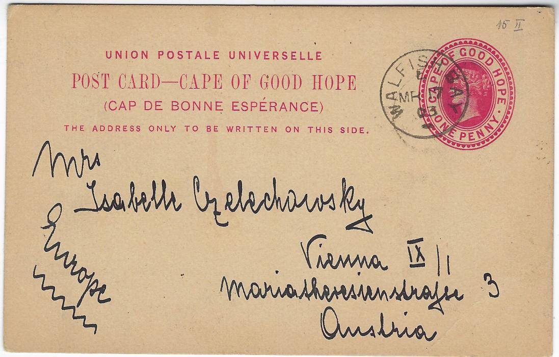 South Africa (Cape of Good Hope – Picture Stationery) 1903 1d carmine card ‘Mertens & Sichel’s Store – Walfish Bay’ in green used with Walfish  Bay cds to Vienna. Fine and scarce used from here.