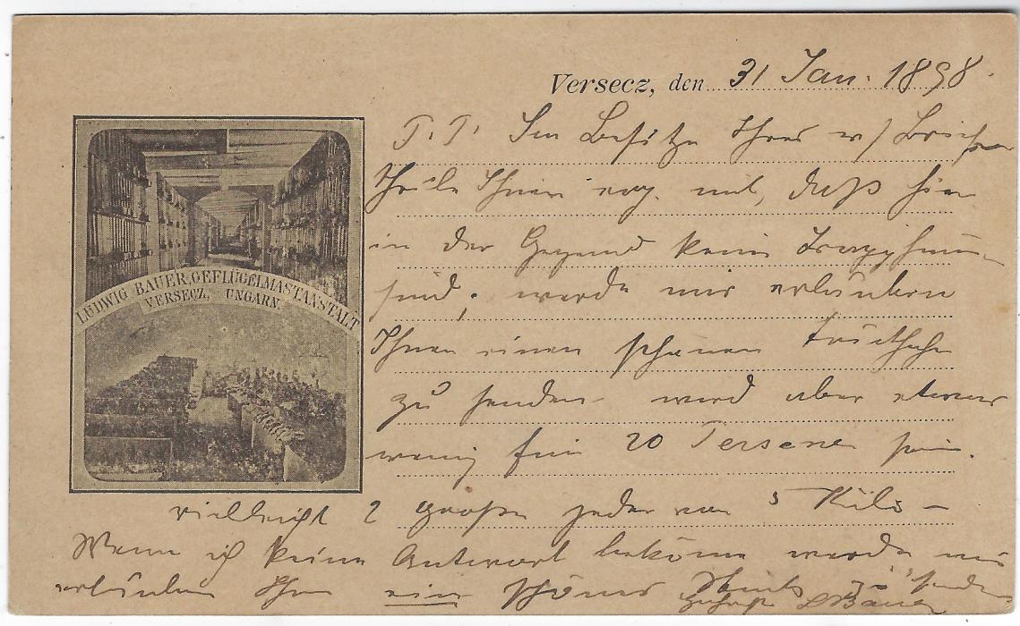 Hungary (Picture Stationery) 1898 (31 Jan) 2Kr. card to Rorbas, Switzerland, uprated 3Kr. tied Versecz cds, arrival cancel to left. Reverse with printed image of Battery Chickens; fine condition.
