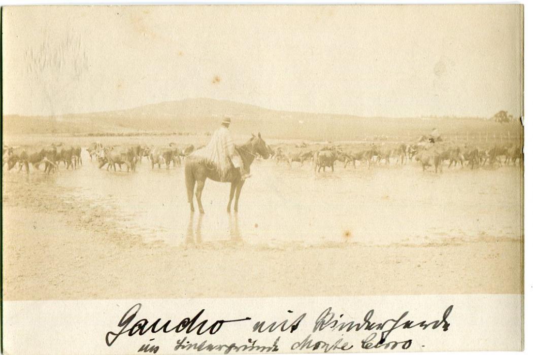 Uruguay 1900 ca. 2c Blue postal stationery card with vignette of MANICOMIO (Montevideo) alongside, on reverse illustration of Gaucho with cows at waterhole, unused