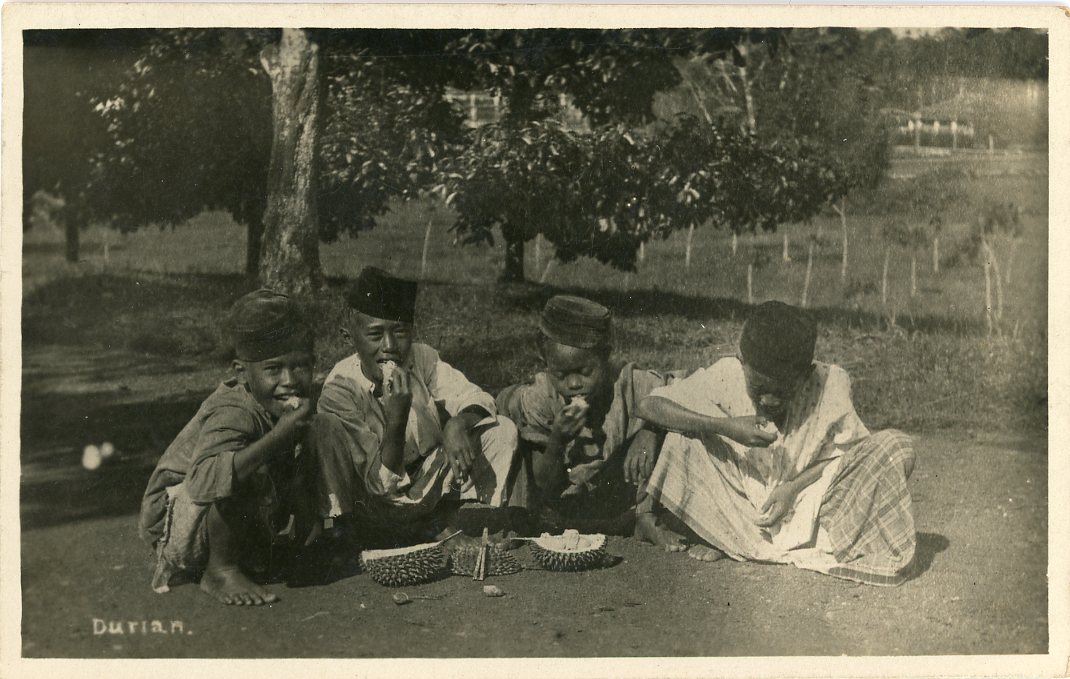 MALAYSIA / STRAIT SETTLEMENTS MALAYSIA / STRAIT SETTLEMENTS: 1922 (19 AU) real photo postcard of children eating durian franked 5c tied by BUKIT MERTATAN PENANG cds, fine.